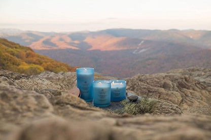 Chesapeake Bay Candle Scented Candles, Confidence + Freedom (Oak Moss Amber), Medium (2-Pack)