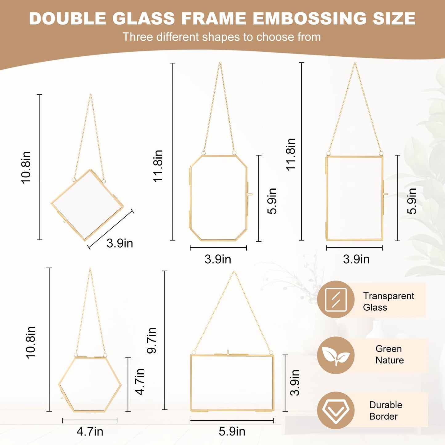 5 PcsDouble Glass for Pressed Flowers,Clear Brass Embossed Frame with Tweezers,Can Be Used for Dried Flower Plant Photo Postcards Wall Mounted Glass Pressed Flower Frame,No Dried Flowers