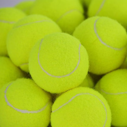 INSUM 30 Pack Bulk Tennis Balls – High Elasticity Practice Tennis Balls with Mesh Bags, Portable for Pet Dog Outdoor Playing, Training, Fetching
