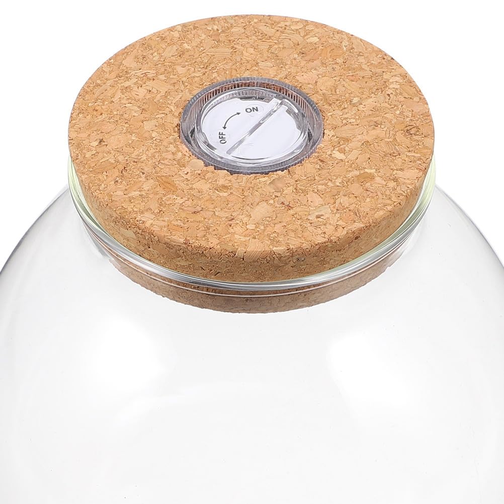 NUOBESTY Glass Terrarium Jar with Cork Lid, Hydroponic Plant Container, Desktop Propagation Jar with Led Light for Home Office Tabletop Decor