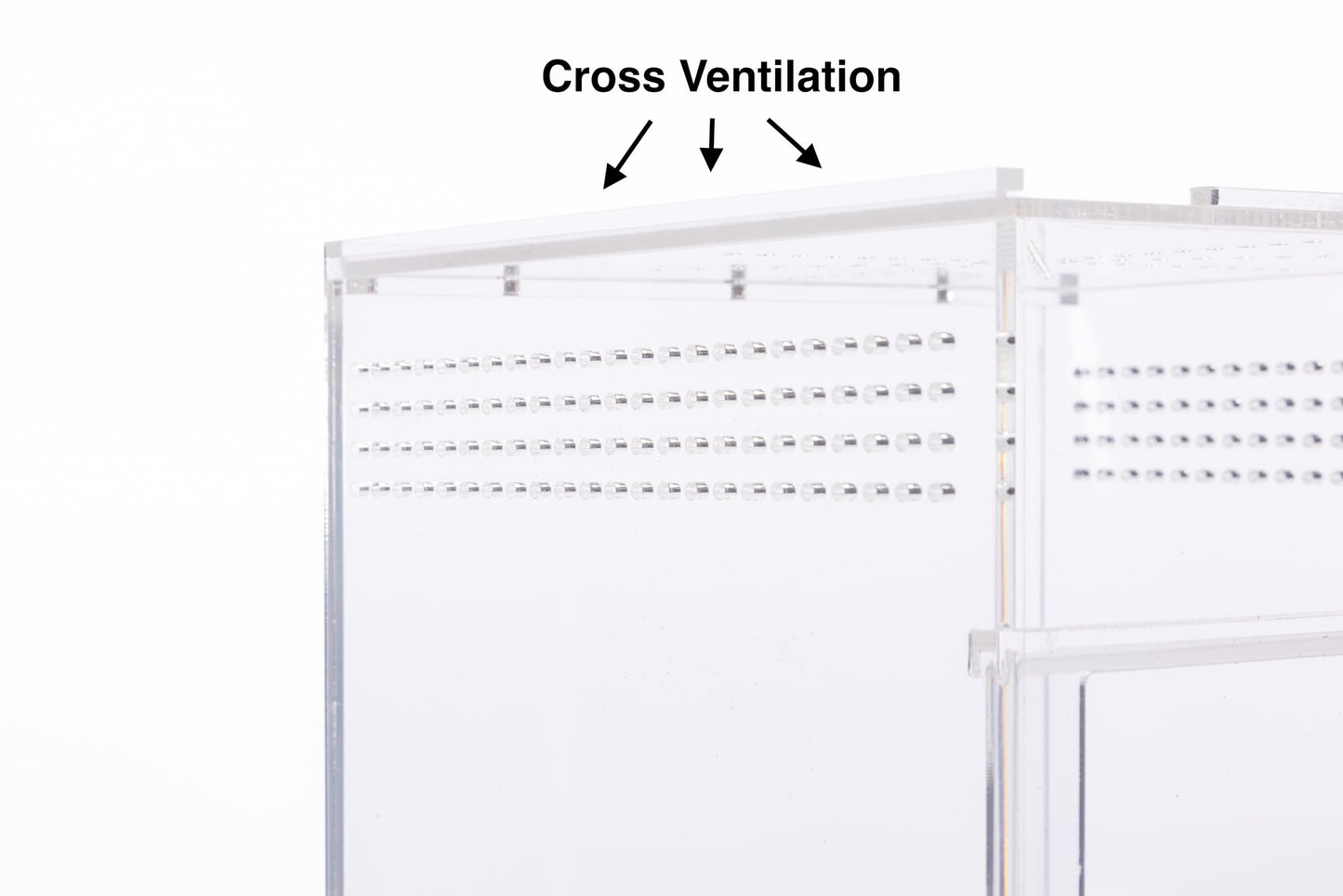 EctoTherm Jumping Spider Enclosure - Complete Acrylic Terrarium Habitat for Spiders, Tarantulas, Praying Mantis - Small Spider House with Front Opening Door - Bug Enclosure for Arboreal Species