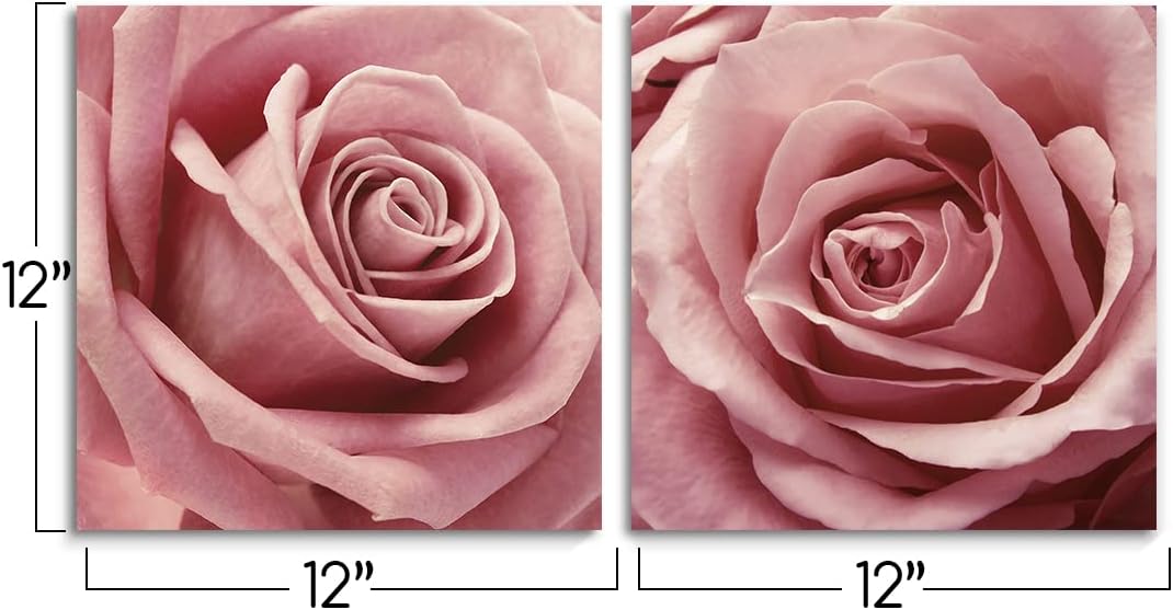 Gardenia Art Pink Rose Close Up Canvas Wall Art, 2 Piece Blush Pink Floral Paintings for Living Room or Office 12"x12"