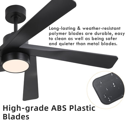 WINGBO 64" ABS DC Ceiling Fan with Lights, 5 Blade ABS Plastic Ceiling Fan with Remote, 6-Speed Reversible DC Motor, LED Ceiling Fans for Kitchen Bedroom Living Room, Matte Black