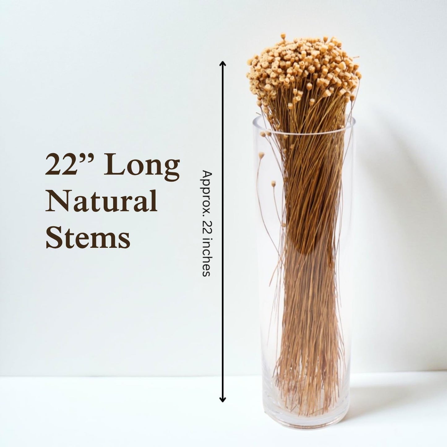 Quality Growers - Happy Flower Preserved Bouquet - Preserved Botanical Flowers for Home Decor, Floral Arrangements, Crafts & DIY Projects - Hand-Harvested - 22” Long - Natural