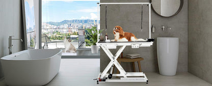 MilleLoom 50" Electric Dog Grooming Table for Home, Heavy Duty Height Adjustable Pet Wash Station with Arm, Portable Non-Slip Tabletop, Tool Organizer & USB Outlet, Supports 300lbs for All Pets