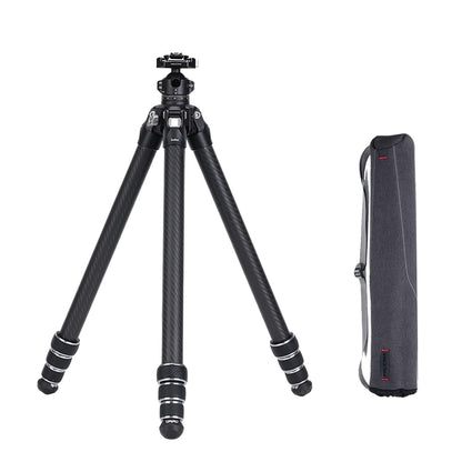 FALCAM TreeRoot F38 Quick Lock Lite Carbon Fiber Travel Tripod with Ball Head Load Capacity 3kg/6.6lbs, Max Vertical Payload 40Kg/88lbs for Cameras, All-Terrain Stability (C141K-301)