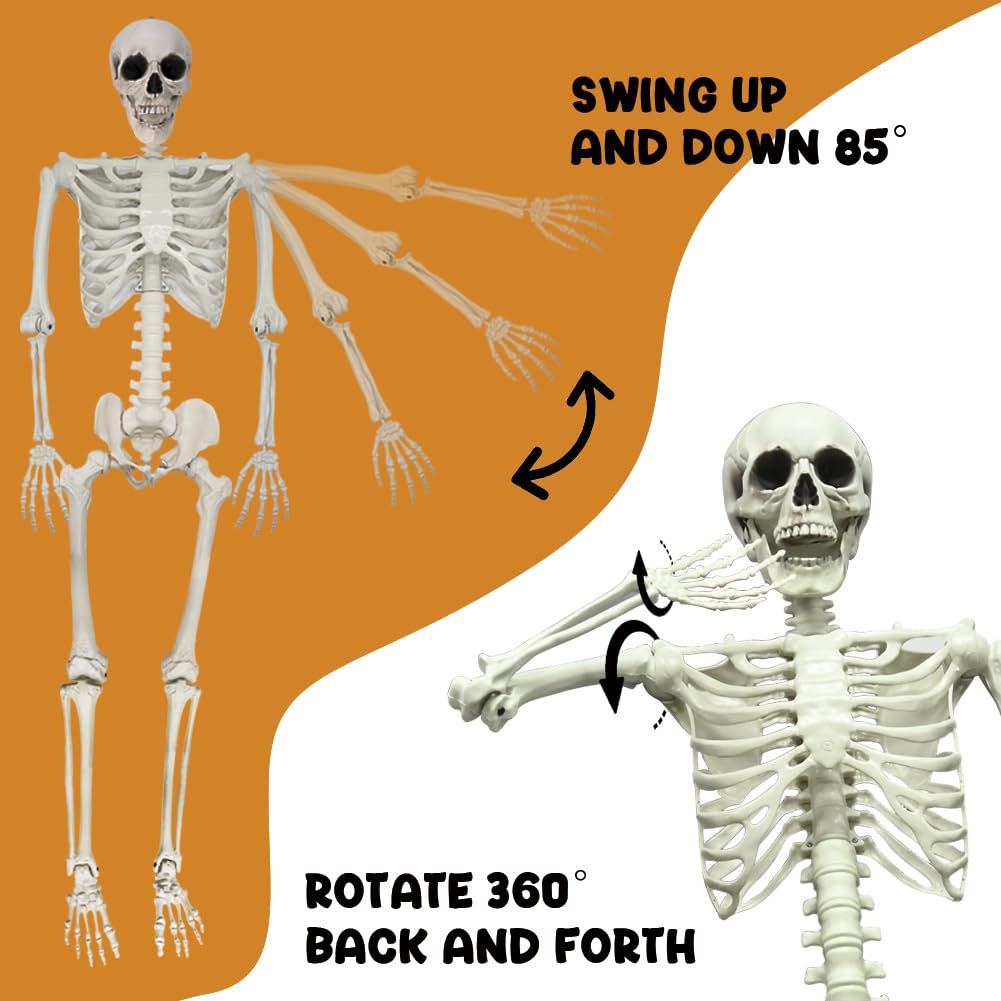 UMEELR 5.9FT Poseable Life Size Skeleton, Plastic Full Size Human Skeleton with Movable Joints for Halloween Garden Party Decoration