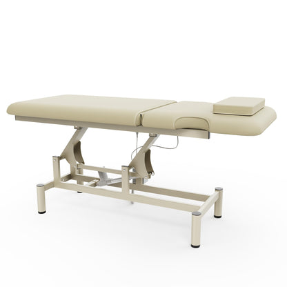 Dolonm 2 Motors Electric Massage Table, Hydraulic Electric Lift Adjustable Backrest and Height Lifting for Treatment, Physical Therapy, Spinal Massage, Facial Spa, Waxing, Tattooing - Beige Gray