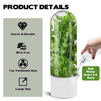 3 Pack Herb Saver for Refrigerator Large Fresh Herb Keeper Cilantro Container for Refrigerator Vegetable Preservation Container for Cilantro Asparagus Mint Rosemary Parsley Basil for 2-3 Weeks