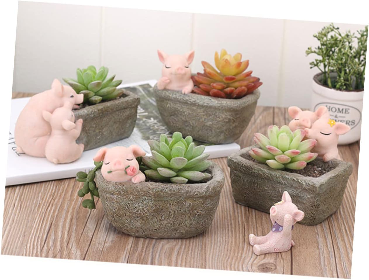 Yardwe Ceramic Planter, Unique Cactus Pot, Decorative Airplant Pot, Mini Container for Bonsai or Desk Topper