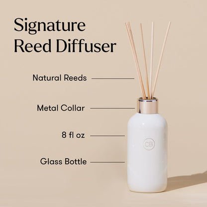 Capri Blue Volcano Reed Diffuser Set - Includes Reeds, Fragrance Oil, and Glass Bottle - Luxury Scented Reed Diffusers for Home Decor - Room Fresheners - White (8 fl oz)