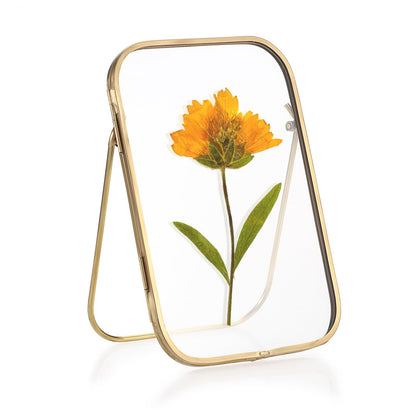JUXYES Tabletop Double Glass Brass Frames for Pressed Flowers, Double Sided Glass Frame Gold Floating Artwork Display Frames for Photo, Picture, Dried Pressed Flower, etc, 4x6 Inches