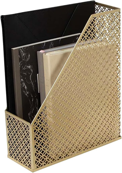 BLU MONACO Gold Magazine File Holder, Decorative Metal Magazine Organizer Bin for Desk & Shelves