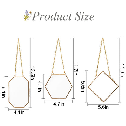 Apipi Pressed Flower Frame Gifts for Mom, Hanging Glass Frames for Crafts Photo Picture Display, Sturdy Chain Floating Wall Art for Home Decor, 3 Pcs