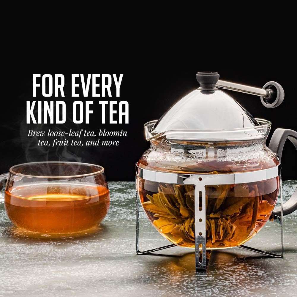 OVENTE Glass Teapot with Removable Stainless-Steel Infuser, 17oz Borosilicate Glass Tea Maker for Everyday Use