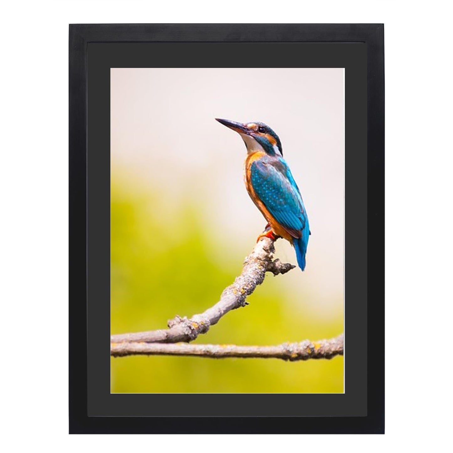 Mxtallup 12x16 Diamond Painting Frame with 10x14 in Black Mat ，Display Pictures 10x14 in With Mat or 12x16 in Without Mat, 30x40 cm Poster Picture Frames 25x35 cm Photo Frames Wood,Black