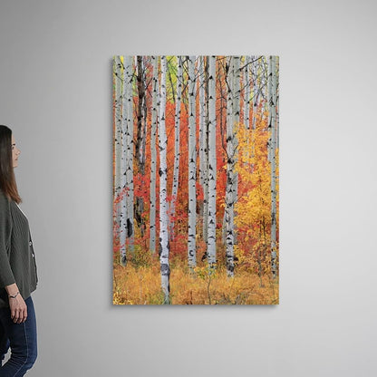 CANVAS ON DEMAND A Forest of Aspen and Maple Trees in the Wasatch Mountains, Utah Canvas Wall Art Print, Home Decor, Season, United States Artwork,40" x60in