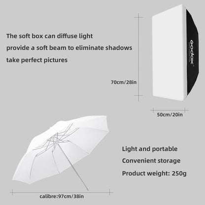 Godox E250 Strobe Softbox Lighting Kit, Professional Studio Strobe Lights Kit for Photography, 2x250Ws 5600K±200 Compact Monolights with Flash Trigger, 50cm*70cm Softbox, 2m Light Stands