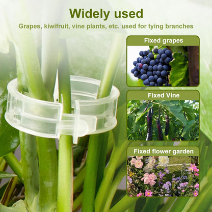 Plant Support Clips,100/150/300 PCS Plant Clips for Climbing Plants Clear for Tomato Grape,Garden Clip Plants Support Clip Garden Clips Vine Vegetables Fixing Clip (White-50pcs)