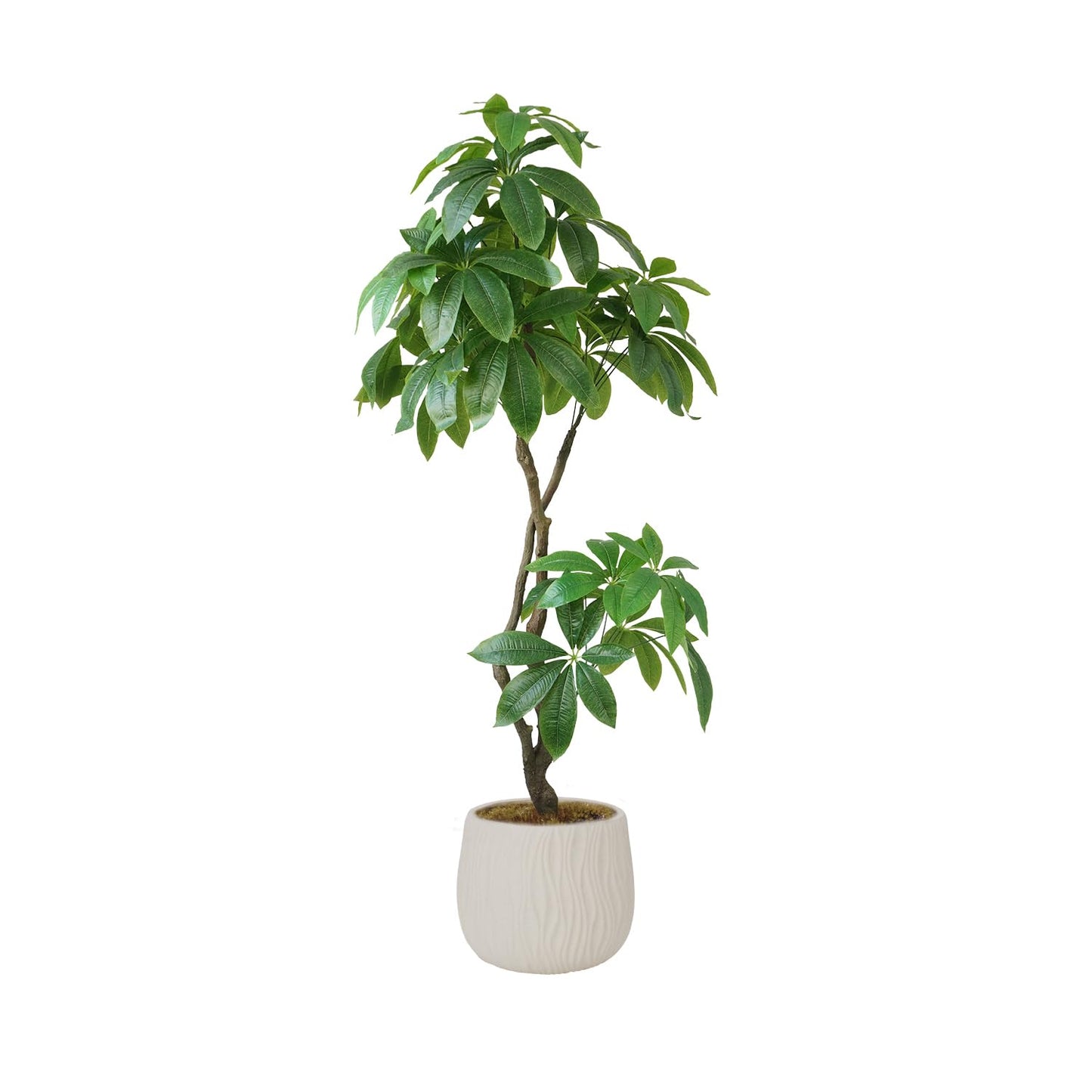 76.6'' Artificial Money Tree in a Shell Designed fiberstone Planter