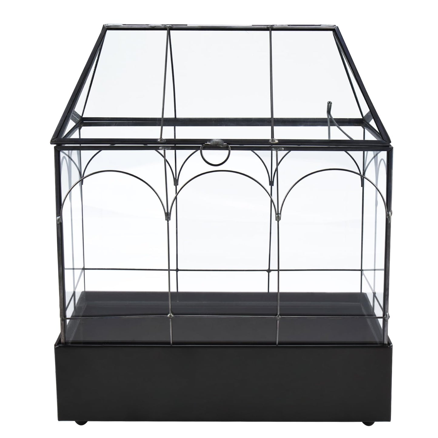 HighFree Glass Terrarium with Metal Tray, Glass Greenhouse Terrarium Kit for Succulents, Cacti, Snails, Spiders, and Miniature Reptiles, Black (Large-9.45" L x 5.7" W x 11.8" H)