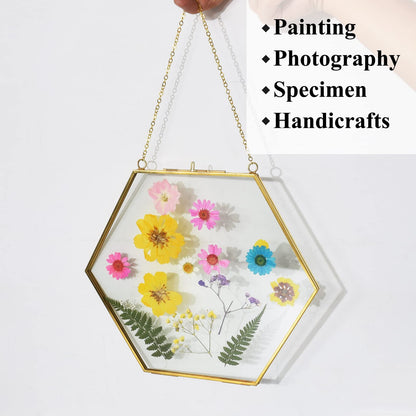TLBTEK Brass Hanging Photo Frame,9.5 Inch Hexagon Glass Frame for Pressed Flowers,Clear DIY Vintage Artwork Display Frame Wall Mounted Photos Frame