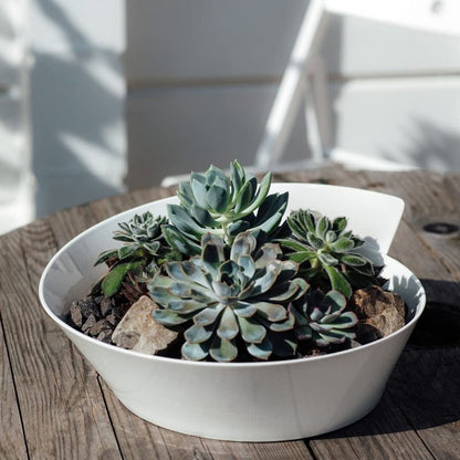 Villeroy & Boch NewWave Collection Large Round Serving Bowl, Premium Porcelain, Made in Germany, 94.5 oz Capacity, 13.5 in Diameter, 5.6 in Tall, Rich, Creamy White