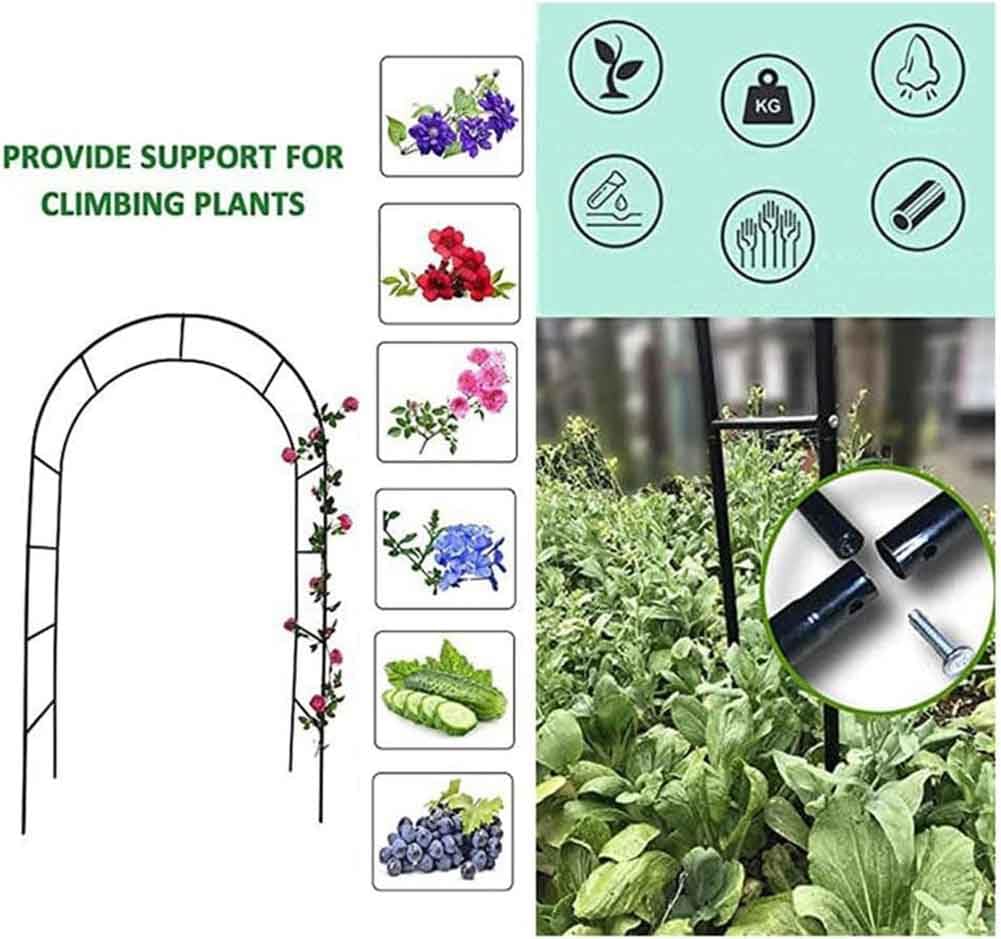 Green Rose Arch for Ceremony and Wedding Decoration Metal Outdoor & Indoor Trellis for Climbing Plants Weatherproof & Easy Assembly 2.4M Wide x 2.2M High Reconfigurable Design for