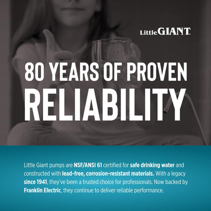 Little Giant 16G-F231-20 1 HP, 52 GPM, 1 Phase, 230 Volt, Automatic Cast Iron Submersible Grinder Pump with Piggy-back Tethered Float Switch, 20-Ft. Cord and 230 Volt Plug, Blue, 509813
