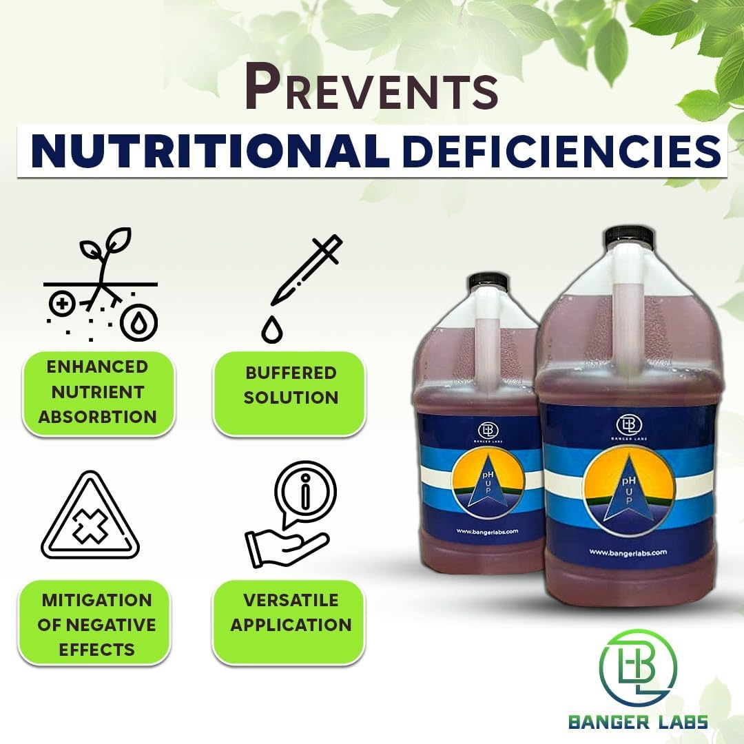 (1 Premium pH Up Solution - Corrects pH Imbalances, Maximizes Nutrient Absorption, Prevents Sickly Plants | Plant pH