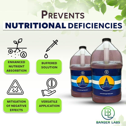 (1 Premium pH Up Solution - Corrects pH Imbalances, Maximizes Nutrient Absorption, Prevents Sickly Plants | Plant pH