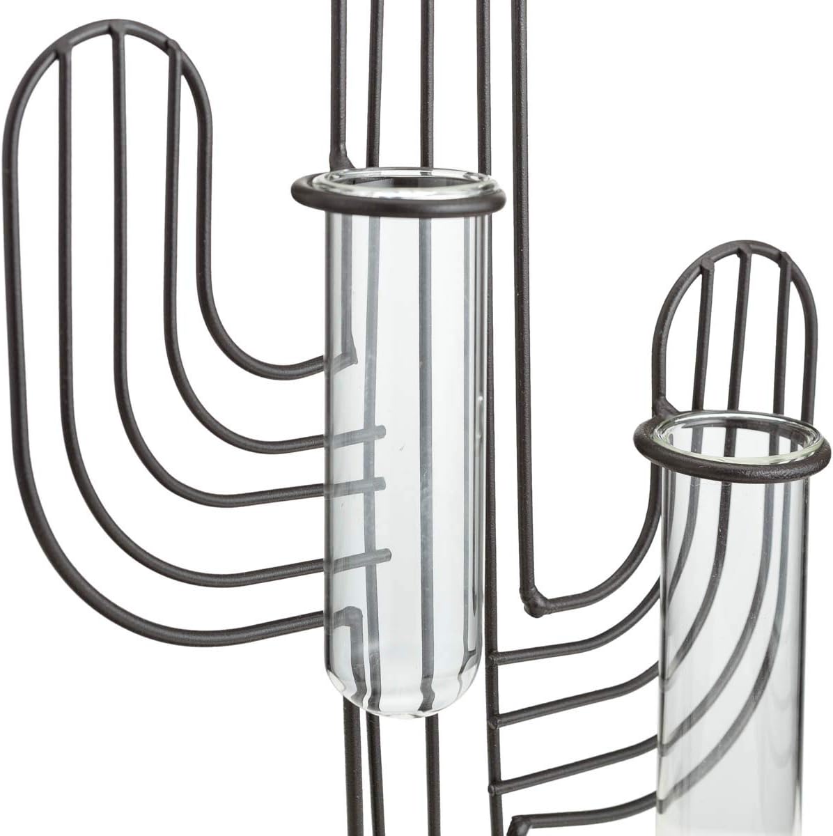 TJ Global Cactus Double Test Tube Vase Planter Holder, Plant Terrarium, Propagation Station, Metal Stand