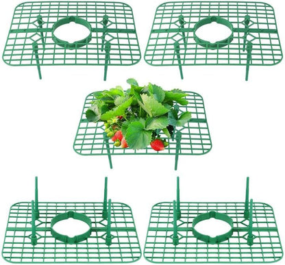 Qumenan 5 Pack 4 Strawberry Plant Support Square Strawberry Supports for Garden Green Holder Plastic Stand with Sturdy