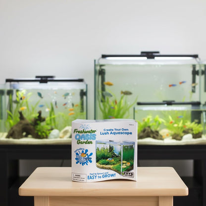 Toys By Nature Freshwater Oasis Garden, Mini Wave Terrarium Kit with Aquatic Seeds and Real Water Plant, Beginner-Friendly Terrariums and Live Indoor Plants Decor