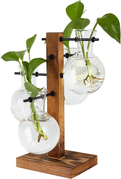 4 Bulb PAG Planter Terrariums Kit Desktop Hydroponics Air Plant Holder with Beaker Glass Vase and Solid Wood Stand