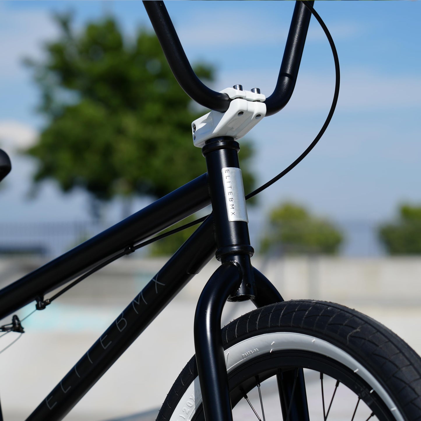 Elite BMX Freestyle Bike, Durable Steel Frame, Available in 16", 18", and 20" Sizes. New Sizes 26" and 29" BMX Bicycles. (Black White, 20")