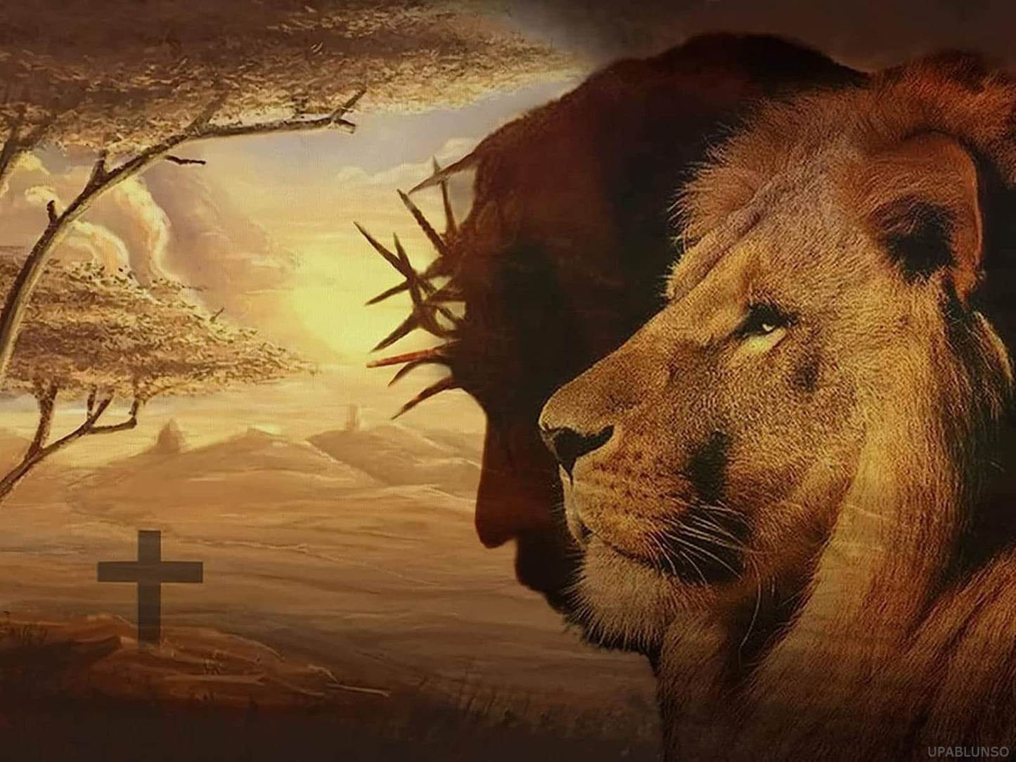 Christmas Gift Lion Jesus Christ Religious God Diamond Painting Kit for Adults Beginners Full Drill Diamond Art Painting by Number Kits Gem Art 12x16 inch Suitable for New Year, Valentine's Day