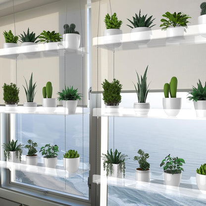 ZerzSemp 3-Tier 16 Inch Hanging Clear Plant Shelves for Windows, Acrylic Window Wall Plant Stand Shelf for Kitchen