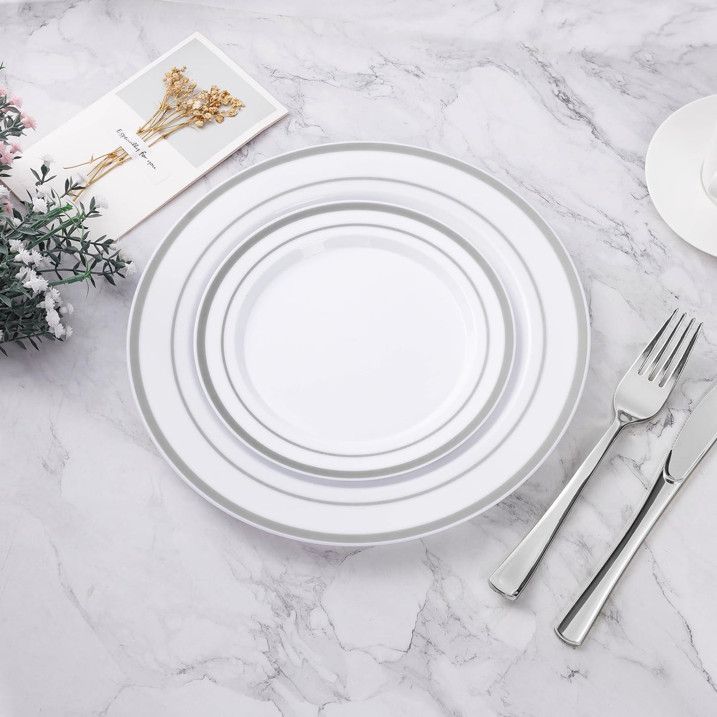 BESTVIP 100PCS Silver Plastic Plates, 10.25 Inch Disposable Dinner Plate Party with Silver Rim for Christmas, Thanksgiving, Heavy Duty Disposable Plastic Plates for Party, Wedding and Birthday, Events