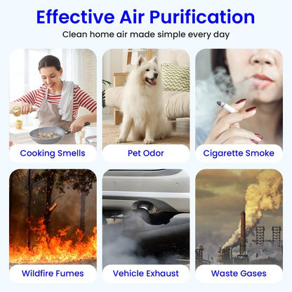 Future Way 2-Pack C545 Replacement Filter S Kit Compatible with Winix C545 Air Purifier, 2 H13 True HEPA Filter + 8 Activated Carbon Filters, Replace 1712-0096-00