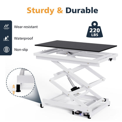 Flying Pig Heavy Duty Super-Low Electric Lift Dog Grooming Table