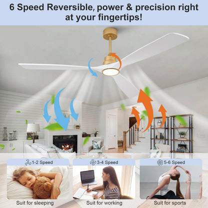 VCQQ 72 Inch Outdoor Ceiling Fans with Lights, Remote Control, Wall Switch, Reversible, Dimmable White and Gold Ceiling Fan with Light, Modern 3 Blade Wood Ceiling Fans for Living Room Patio