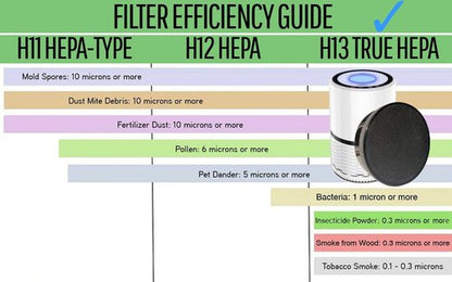 Flintar 3-in-1 Replacement Filters, Compatible with GENIANI Home Air Purifier G-2000, H13 Grade Filtration System, Part # G-2000-FL, 2-Pack