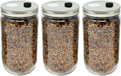 32oz 5-Grain (3-Pack) Myco Labs Premium Quick Colonizing Mushroom Spawn Jars