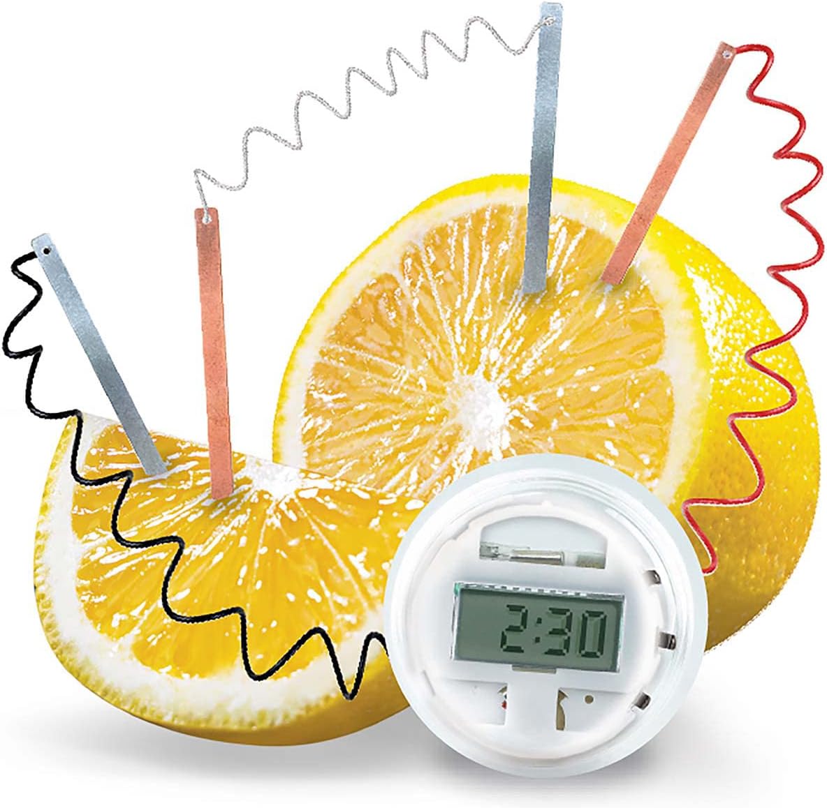 4M 12 Count (Pack 1) Kidzlabs Lemon Powered Clock, Chemical Electrical Science Lab Experiment - STEM Toys Educational