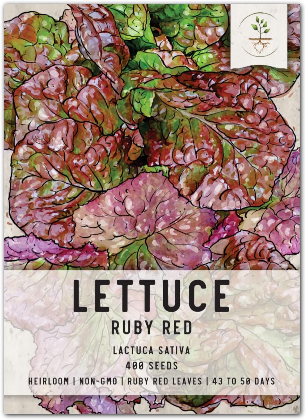 400 (1 Pack) Seed Needs, Ruby Red Lettuce Seeds - Heirloom Seeds for Planting Lactuca Sativa - Great for Hydroponic