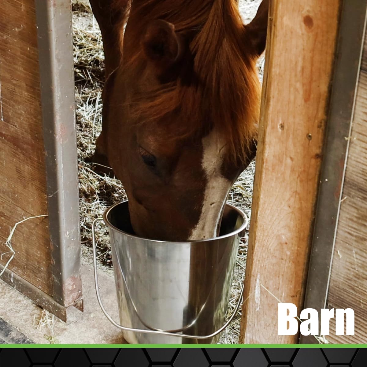 Grip Stainless Steel Bucket (4 Gallon) - Great for Pets, Cleaning, Food Prep - Hang on Fences, Cages, Kennels - Home, Garage, Workshop