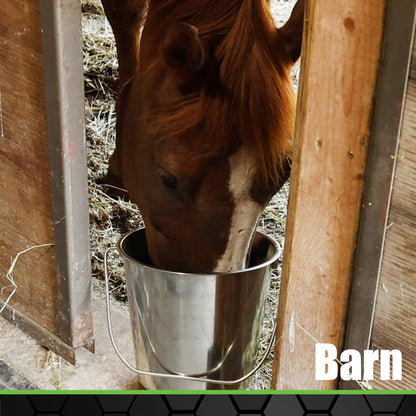 Grip Stainless Steel Bucket (4 Gallon) - Great for Pets, Cleaning, Food Prep - Hang on Fences, Cages, Kennels - Home, Garage, Workshop