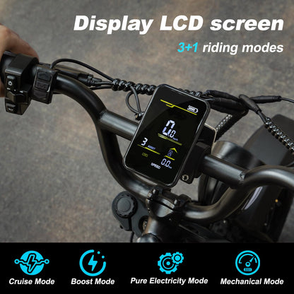 VDL Mountain Electric Bike for Teenager, 16" Fat Tire Ebike, Wider Seat 800W Peak Motor, Removable Battery, Front Fork Suspension, 20MPH, UP to 35 Miles Mountain Ebike, for Leisure Riding&Commuting
