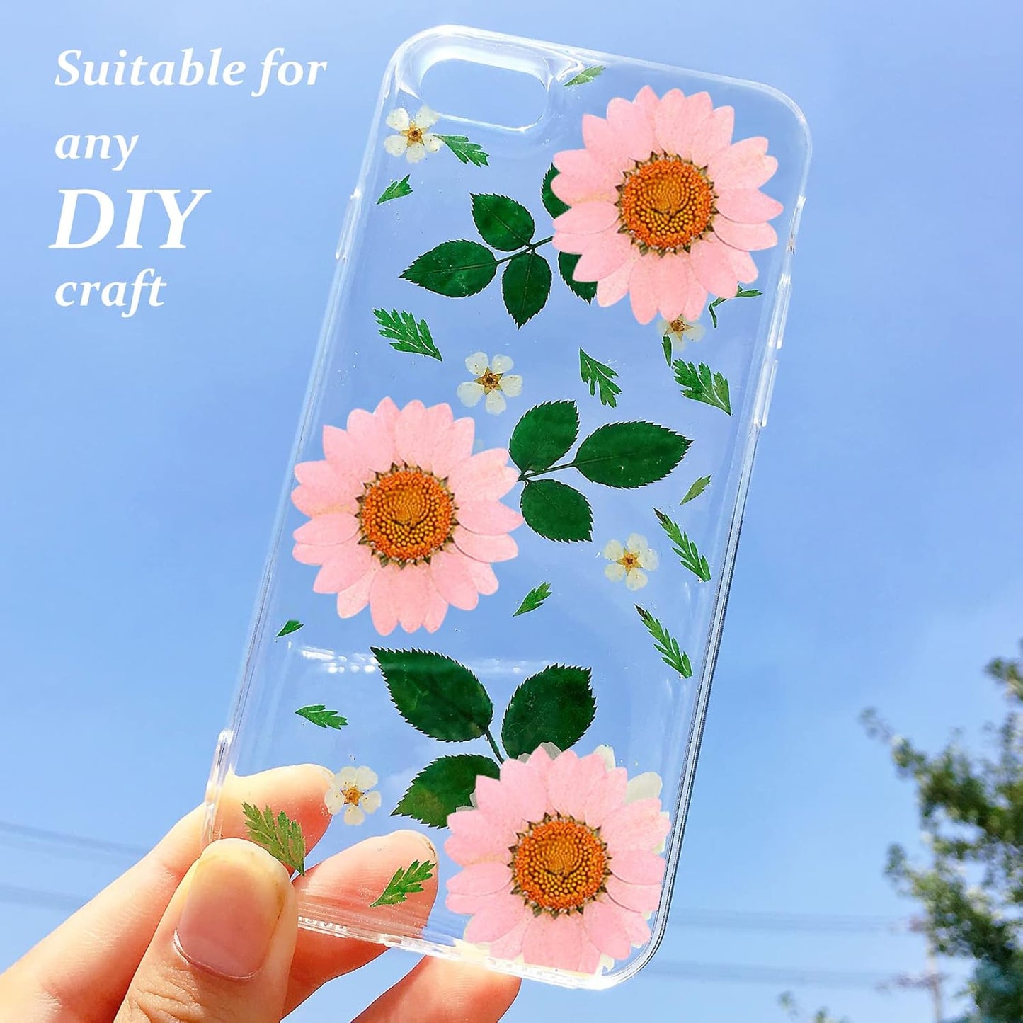Dried Pressed Flowers, 60PCS Pink Natural Real Daisy for DIY Craft, Scrapbooking, Candle Making
